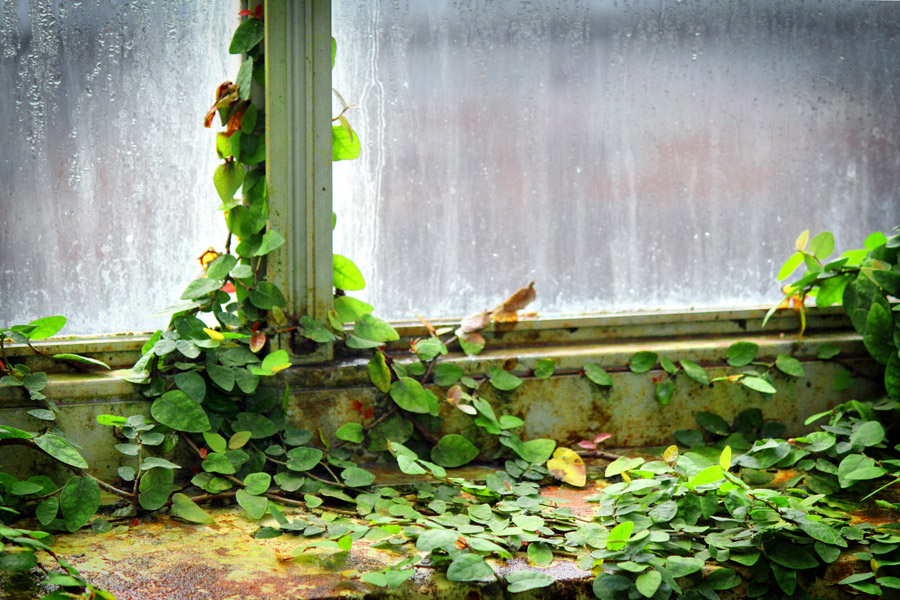 © Kristin D. Fundalinski -  Aged window